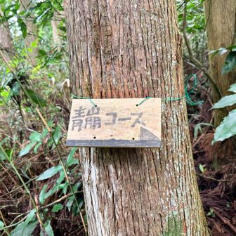 無事に青崩を下山