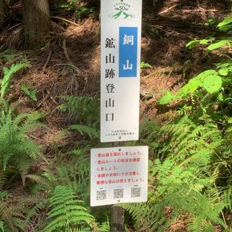 登山口