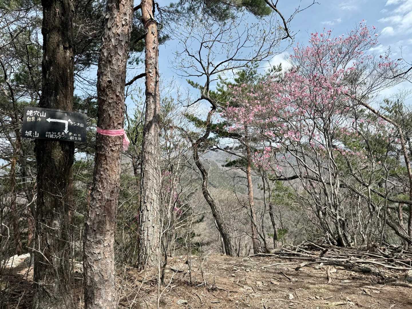 ヤシオ山⛰️