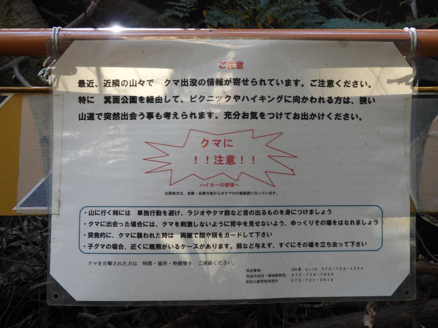 ここでも、クマの目撃情報があるみたいです😨
これとは関係ないかもしれませんが、この日のルート上に猟銃や無線機を構えた猟師の方が待機されてました。