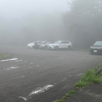 不動沢登山口に到着
山中は雲の上でしたが、駐車場辺りは雲の中☁️