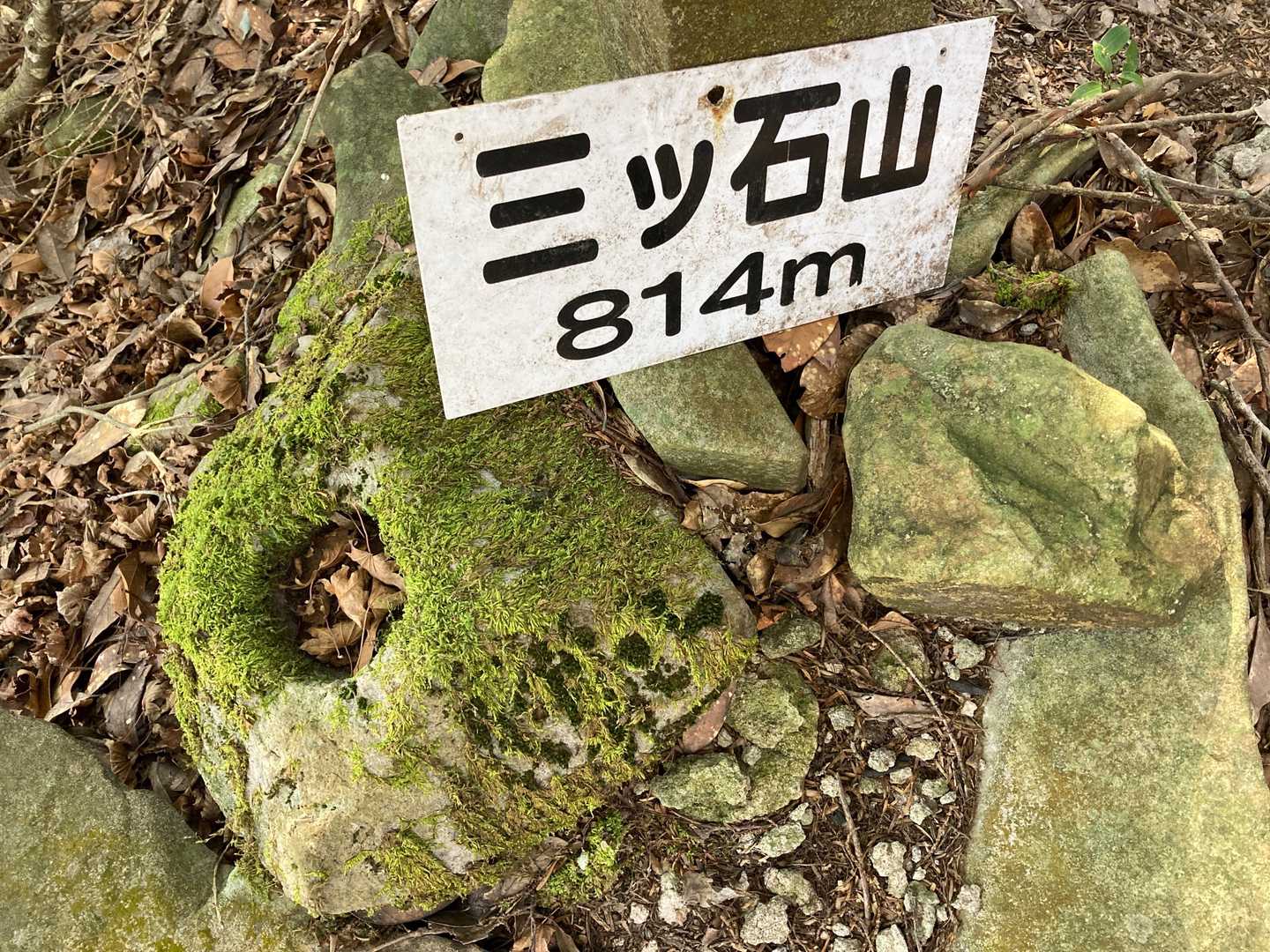山頂からの眺望は無い