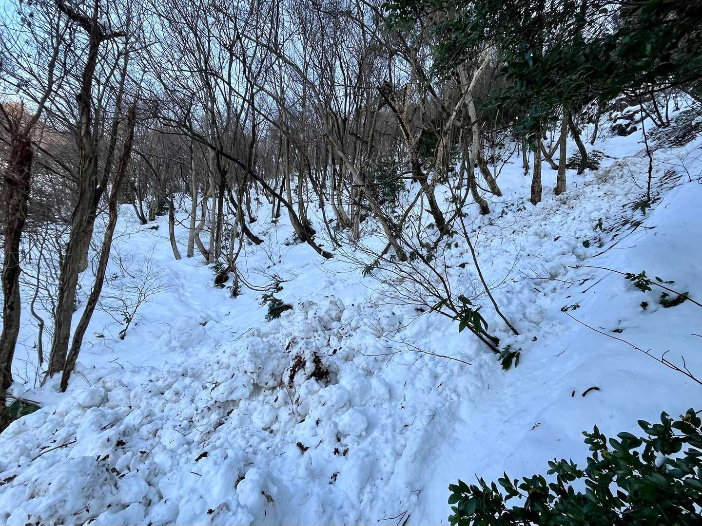 渡り終えて
毎年雪崩の起きる地点