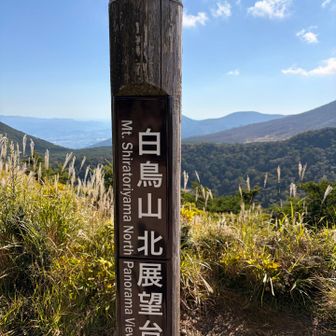 からの〜〜