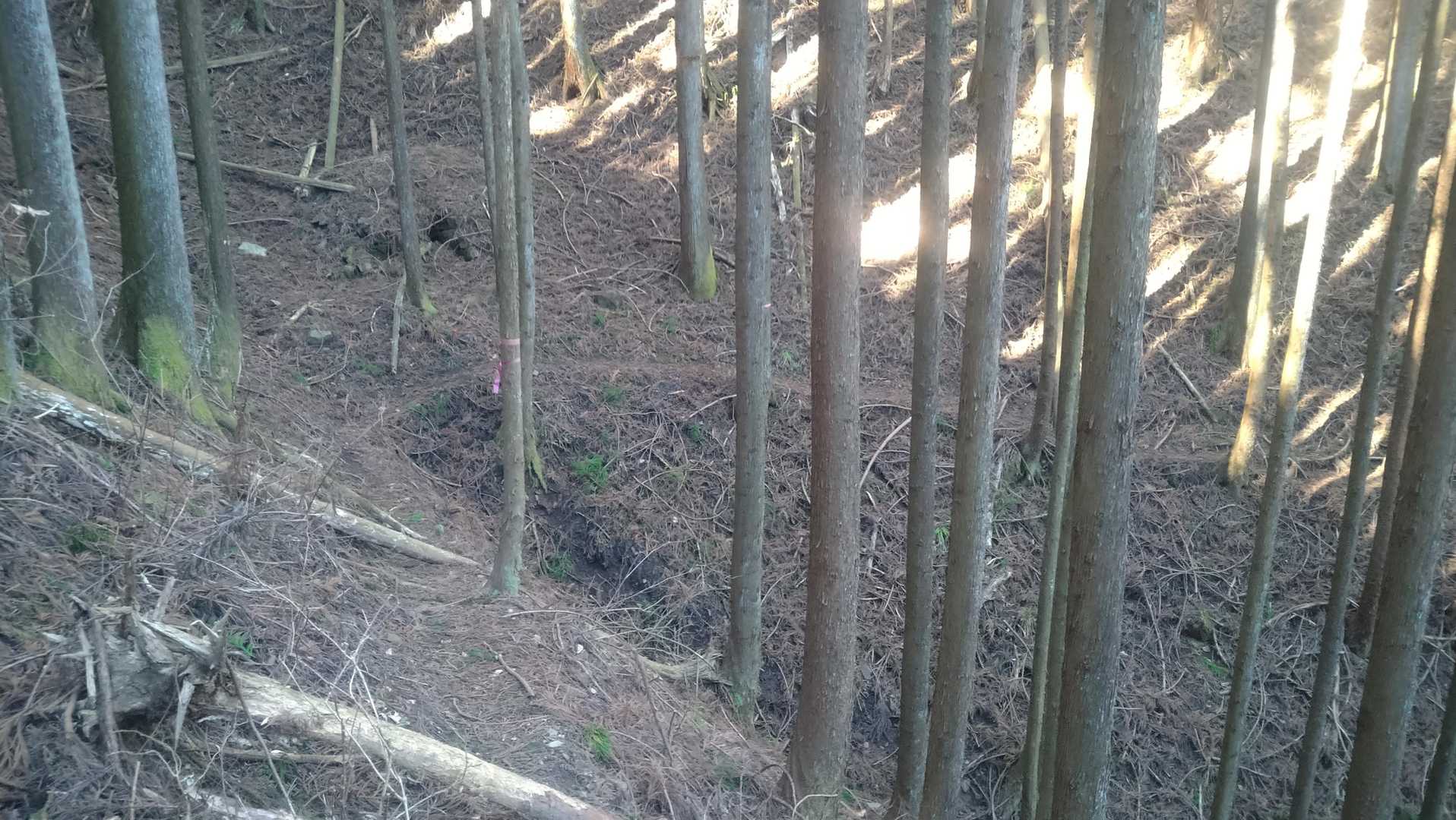 トラバース気味に進んでいきます