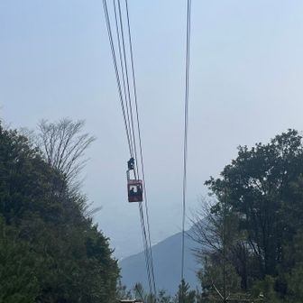 手を振ってくれてます