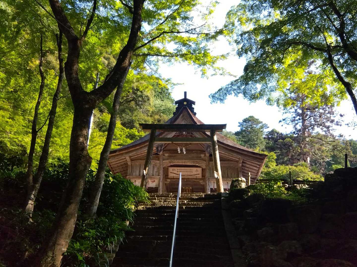 天王山 周回コースの写真