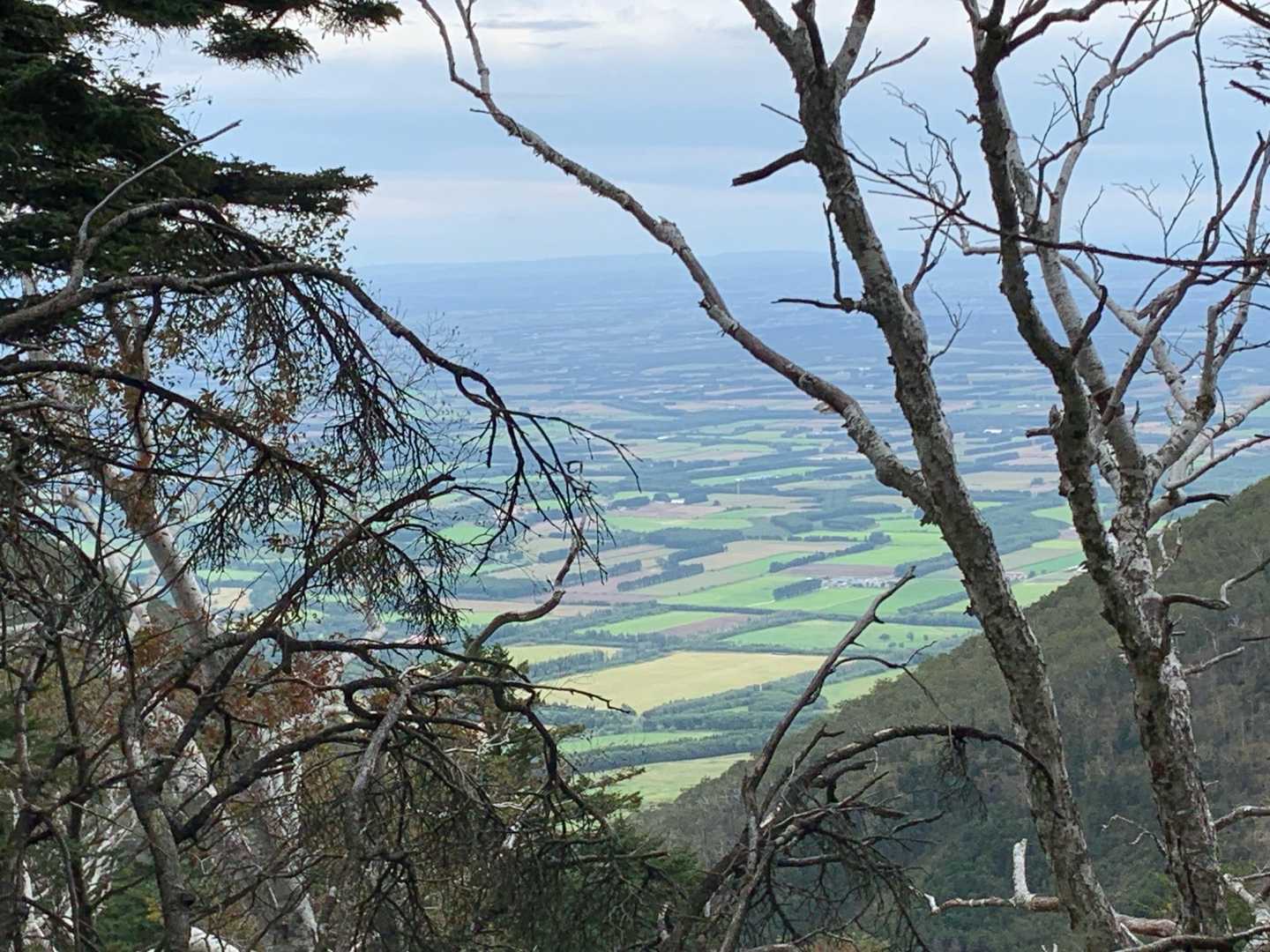 白雲山登山口-白雲山-天望山登山口 周回コースの写真