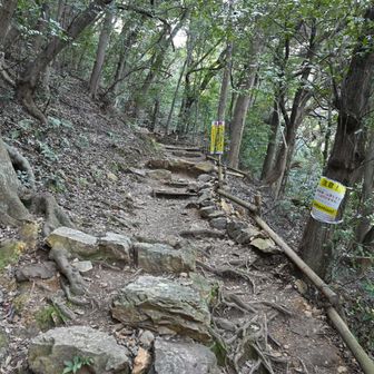 登り始めはこんな感じ。