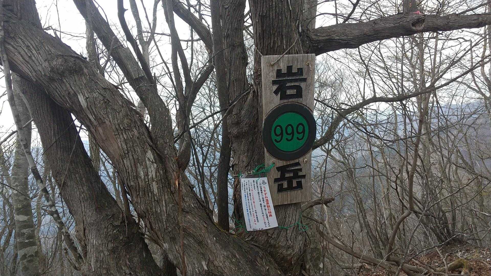 岩岳 999m、登頂👍️
メチャメチャしんどかったです💦