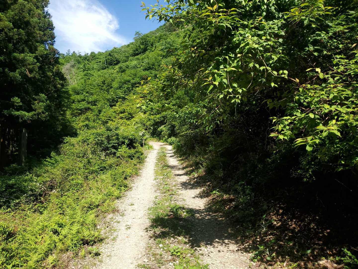 赤桶登山口-若宮峠-栗ノ木岳 往復コースの写真