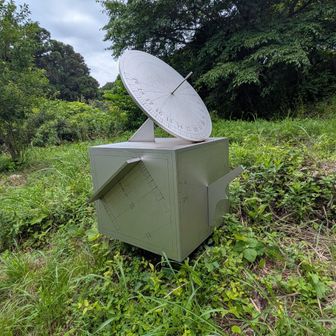 コレは何でしょうかね。何なのか不明でした。