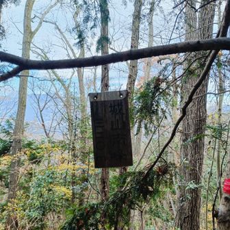 城山南峰にたどり着いたけど、山名板は暗くて分からん😢