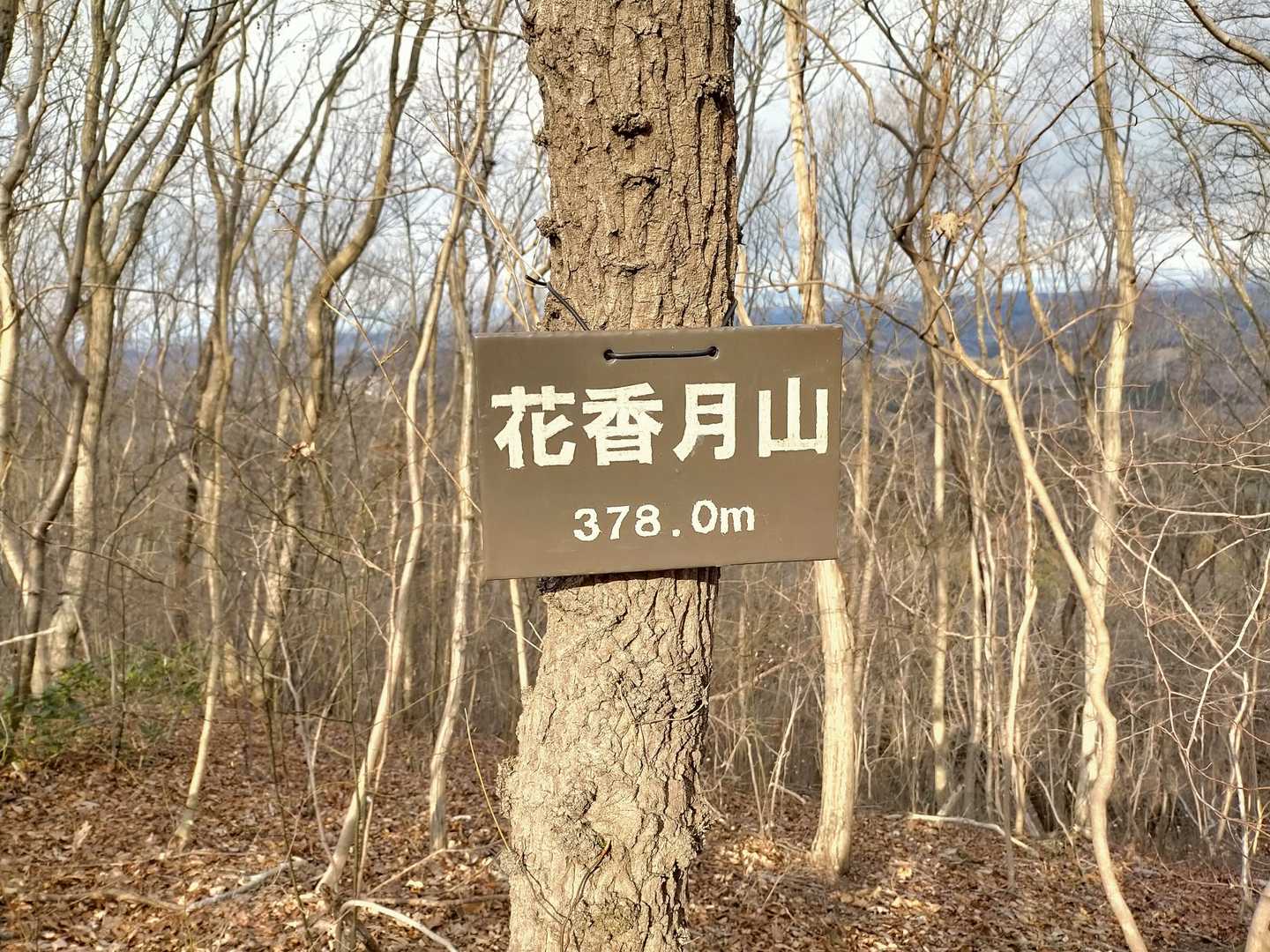花香月山。眺望はなし。