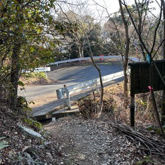 下山

階段に戻るか、ロードか、、、
どっちに行ったかな？