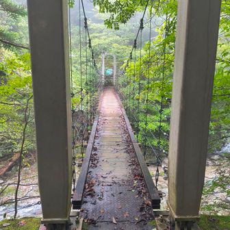 シオカラ谷のつり橋。渡った先から急騰の登り返しがあります。