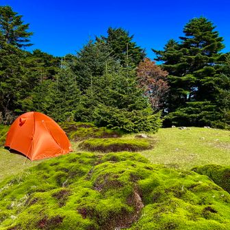 テント場も綺麗⛺️