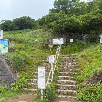 🅿️横の階段に出て来ます。
右に登れば中央登山道コース