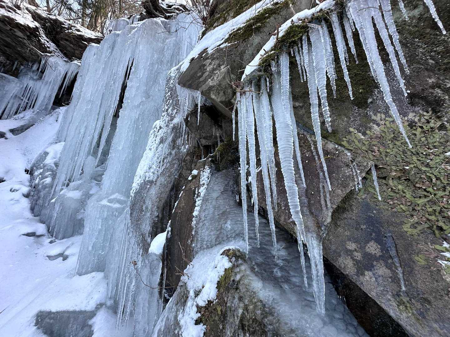 別所登山口-奉幣殿-英彦山 周回コースの写真