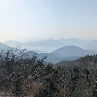 黄砂がなければ😼