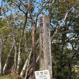 ここまで来ました！