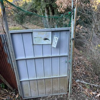 途中に鹿よけの扉🦌