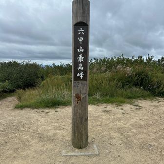 ハイお終い〜

これであとは退屈な降りを黙々と…と思っていたらトラブル発生。
何と3回位しか使っていない新品の充電ケーブルが故障する😭
しばらくは微妙に充電→停止を繰り返していたので片手に持って抜き差ししながら歩いていたが、やがてケーブルさんが昇天される😇

・関西の未知の山域で地図なし&道迷いしたら死ぬかもな〜
・日も暮れてくるしヘッデンだと更にリスク高いな〜
・機内モードにしたから、家族が通報とかしてないといいな…
→じゃ、電池諦めて明るいうちに走るか　となるまで1時間くらい粘った

教訓1. 予備電源どころか、予備ケーブルも持参するべき（大して重くない）
教訓2. Amazonに生息するch⚪︎naっぽい安物ケーブルは登山のお供に不適格。今まで事故らなかったのが不思議なのだ