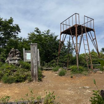 山頂、熊蜂がブンブンでゆっくり出来ませんでした