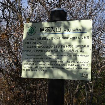 うまいらず山。ここで一人の壮年男性がいらっしゃり、「熊かと思った」と。すみません、鈴鳴らさず。