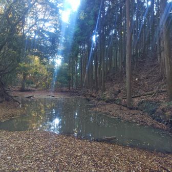 山上の堀は高取川の源流らしい。