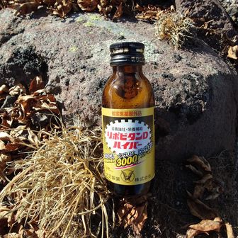 最近の折り返しに。