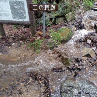 道はほとんど川