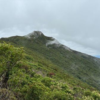 ほらね。