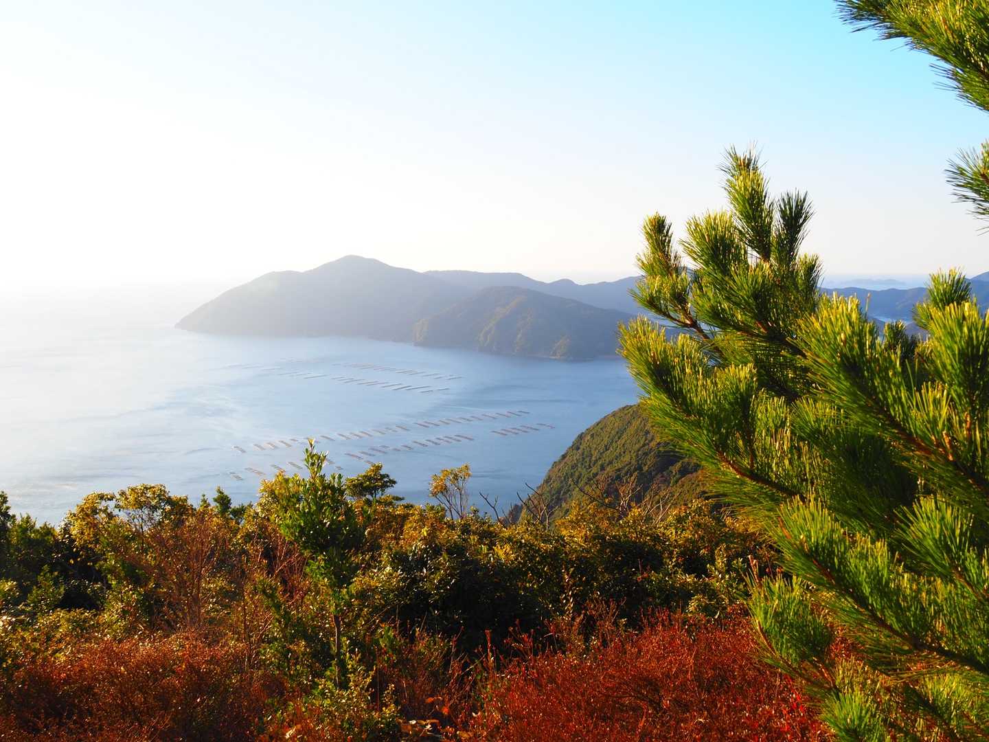 海を眺められる山ってYAMAP始めてから初めて来たかもしれない😊