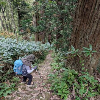 石段狭くて