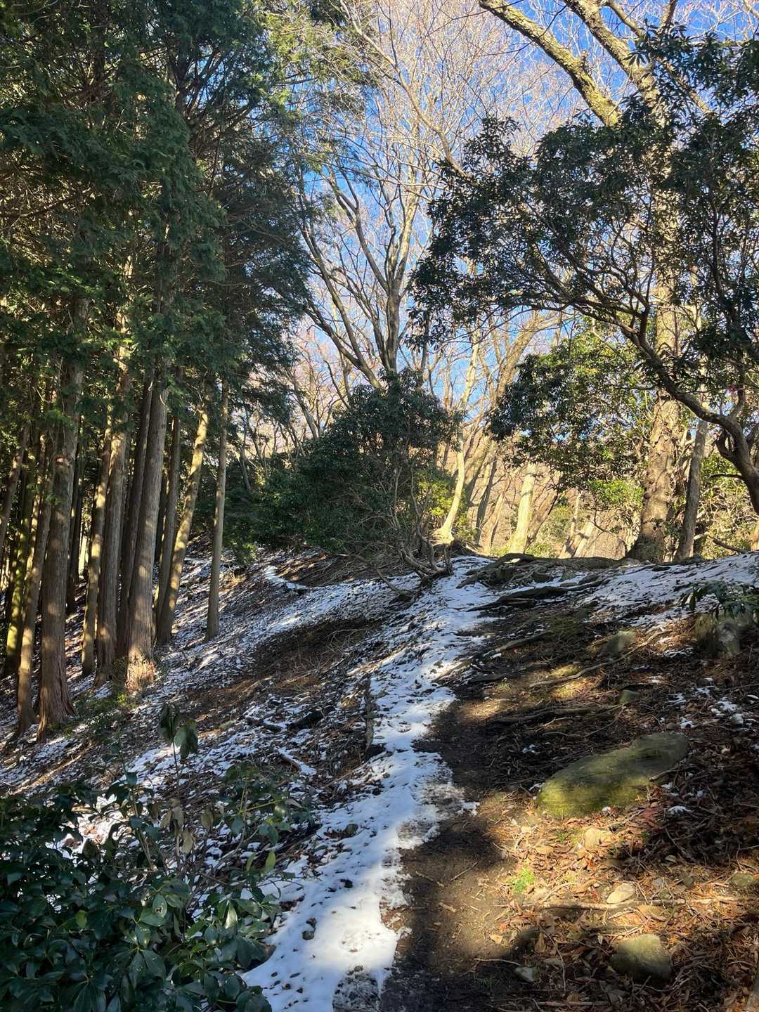ここから少し雪が残ってた