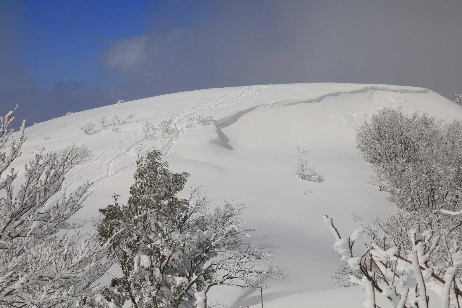 見上峠-白兀山 往復コースの写真