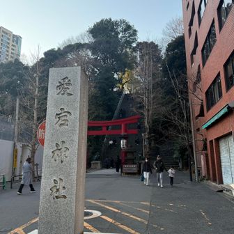 頂が見えました🥹