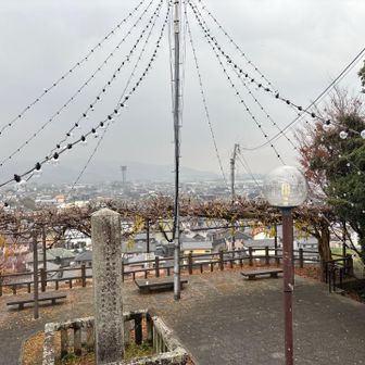 夜は点灯しているのでしょうか