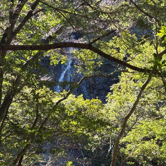 すだれの滝、別角度で辛うじて見えました。