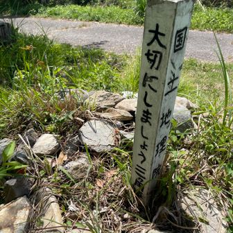 三角点は見つからず・・・