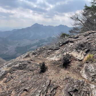 大岩…は単なる尾根と岩にかかる短いハシゴだけでした😂