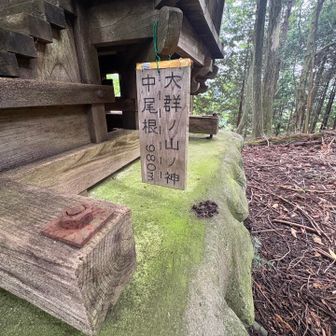 大群ノ山ノ神