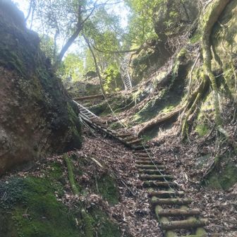     一番奥の梯子の登りは、なんとか行けたが、降りのときは、冷や冷や、その下の丸太梯子は、腐れて、一部、足がかけられず、このことは、観光案内所の方に電話して『入場料払ってるんだから、点検してほしい。』と言いました!!
ガイドさんは、こんな場所は連れて行かないはずです。
