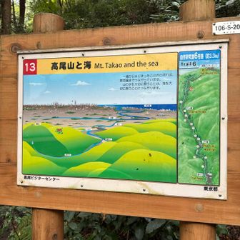 13番目