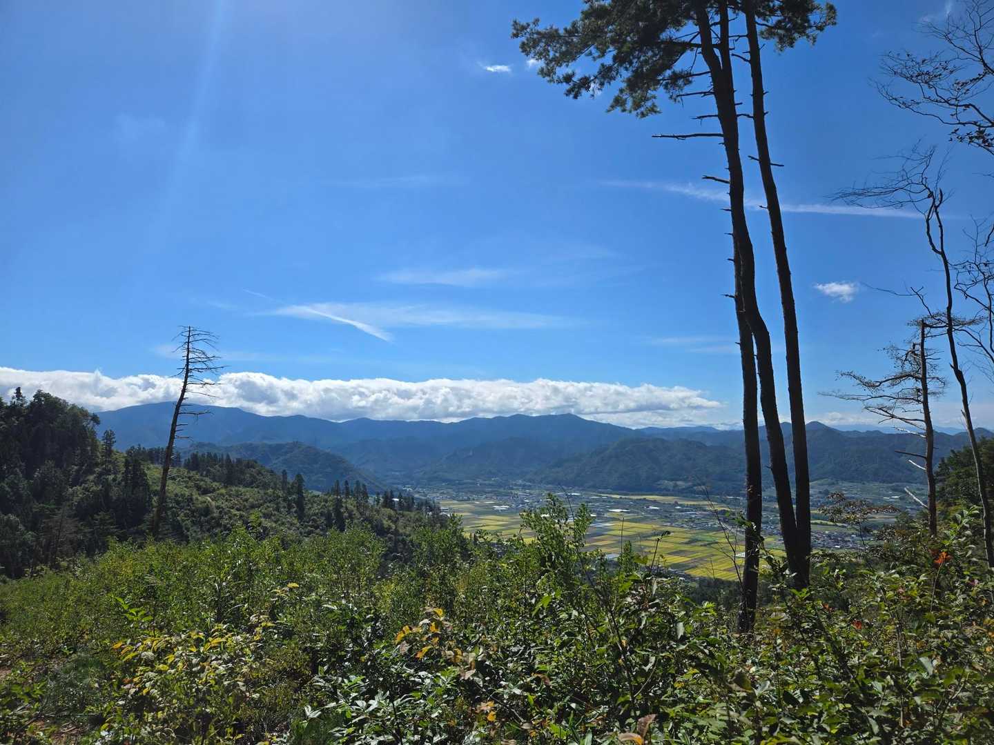 三吉山-葉山 周回コースの写真