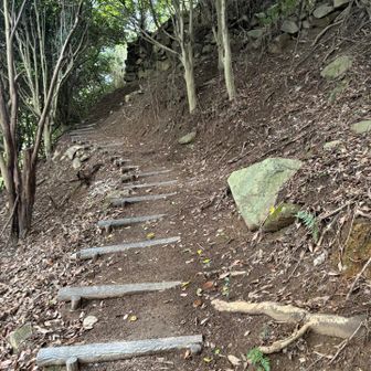 階段登る