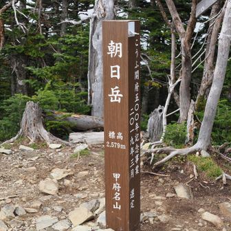なんやかんやで中間地点。ひとつめとうちゃこ。