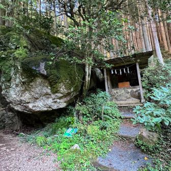 登山道に入ります(❁ᴗ͈ˬᴗ͈)