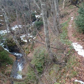 裏コース、薄暗いけど見所多しの良いコース